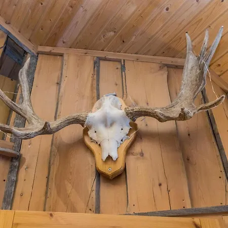 Aihki 1 By Interhome * 萨利色尔卡