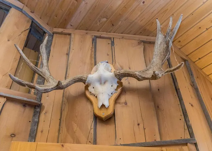 Aihki 1 By Interhome * サーリセルカ